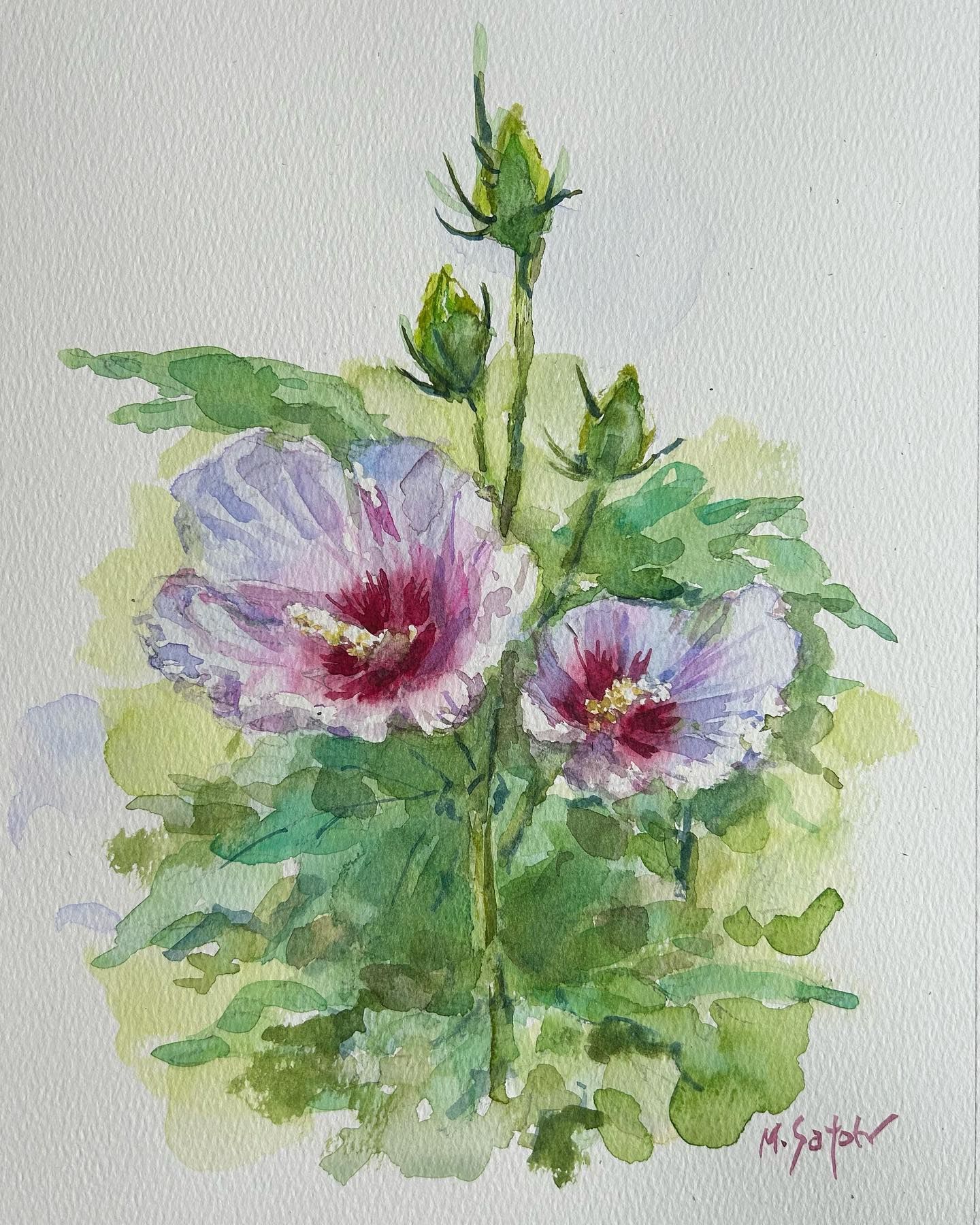 絵画　ムクゲ（ 木槿 ）　油彩画　Kouji 1994 木槿」 透明水彩 ohuhu水彩紙 A4 #透明水彩 #透明水彩画 #木槿 #ムクゲ